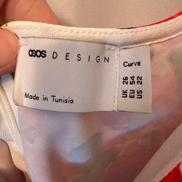 NWT ASOS Design Curve Size 22 Floral Lace Sheath Dress Pink Red Green White - Picture 4 of 12